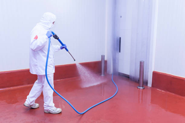 Best Patio and Deck Pressure Washing  in Euless, TX